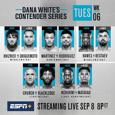 Dana White's Contender Series - Contender Series 2020: Week 6