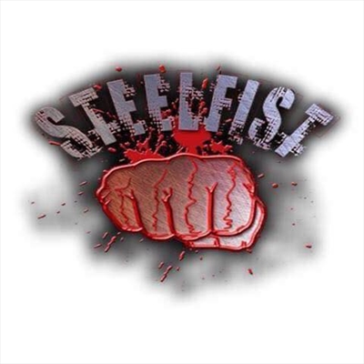 SFFN - SteelFist Fight Night 2