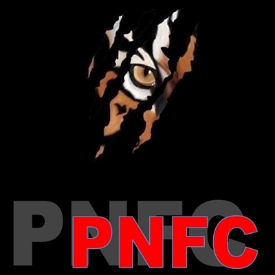PNFC - Power Nation Fighting Championship: Alpe Adria Open 4