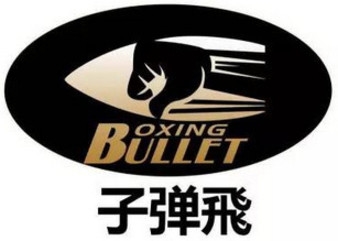 BFFC - Bullets Fly Fighting Championship 1